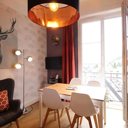 Apartamento F2 Avec Ascenseur Et Wi-fi Au Centre Du Mont-dore - Fr-1-415-44