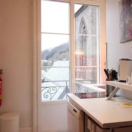 Apartamento F2 Avec Ascenseur Et Wi-fi Au Centre Du Mont-dore - Fr-1-415-44 *